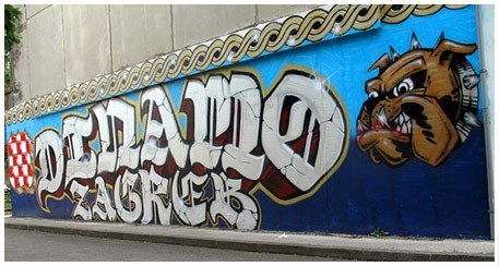 Dinamo grafit