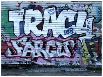 Tracy 168